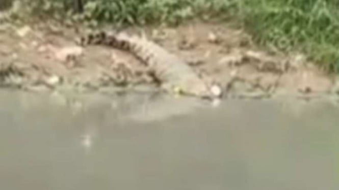 Tragedi di Sungai Guntung: Pencari Ikan Paruh Baya Menghilang Misterius saat Mancing Pagi