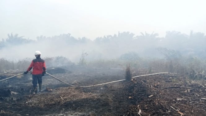 BNPB Keluarkan Peringatan Keras: Hentikan Praktik Pembakaran Lahan Sebelum Musim Karhutla Tiba