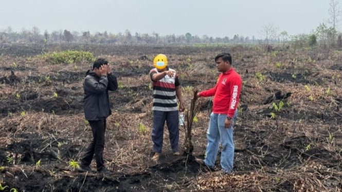 Operasi Hukum Dimulai: Pengusaha Sawit Ditahan Atas Dugaan Okupasi Lahan Hutan Bengkalis