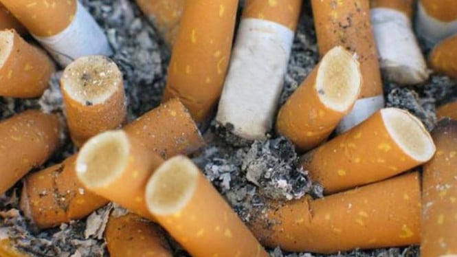 Puntung Rokok Membara: Musuh Tersembunyi di Balik Bencana Kebakaran Lahan Indonesia