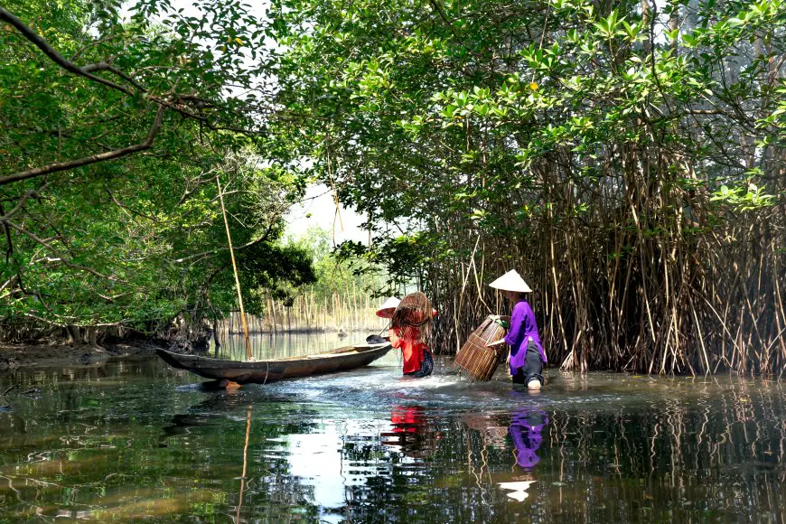 Mangrove Surabaya Ramai Dikunjungi, Tapi Turis Masih Abaikan Aturan Konservasi