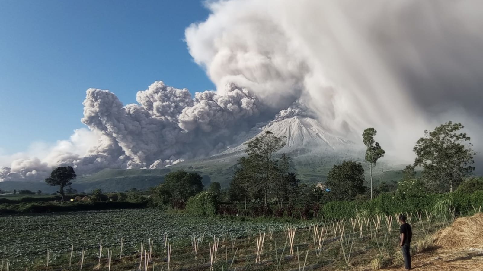 Sinabung Kembali Mengamuk: Ribuan Penduduk Mengungsi Darurat, Sektor Pariwisata Lumpuh Total