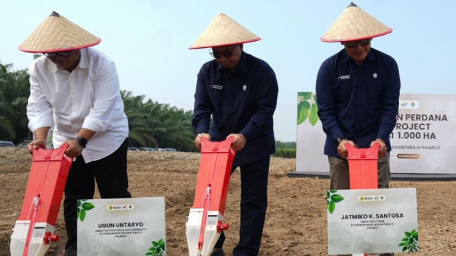 Revolusi Kedelai Lokal: Pemerintah Garap 1.000 Hektare di 7 Provinsi untuk Hentikan Ketergantungan Impor