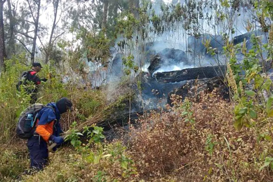 Situasi Darurat di Gunung Butak: 271 Pendaki Terjebak Saat Api Berkobar di Lereng