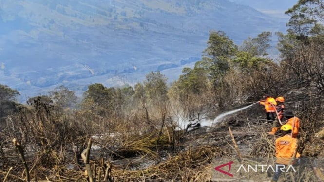 Situasi Terkendali: Api yang Mengamuk di Lereng Bromo Akhirnya Berhasil Dipadamkan