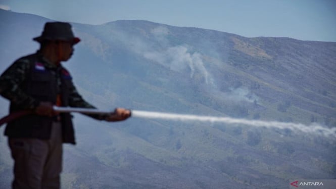Ancaman Kebakaran Hutan di Jatim Meningkat, BPBD Siapkan Modifikasi Cuaca untuk Sejumlah Gunung
