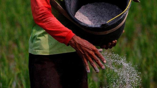 Kementan Siap Perang Habis-habisan Lawan Pestisida Gelap, Produsen Bandel Bakal Kehilangan Izin