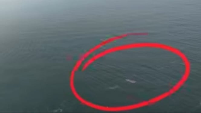 Drone Tangkap Bayangan Aneh di Krakatau, Apakah Ini Tanda Tim Jurnalis yang Menghilang?