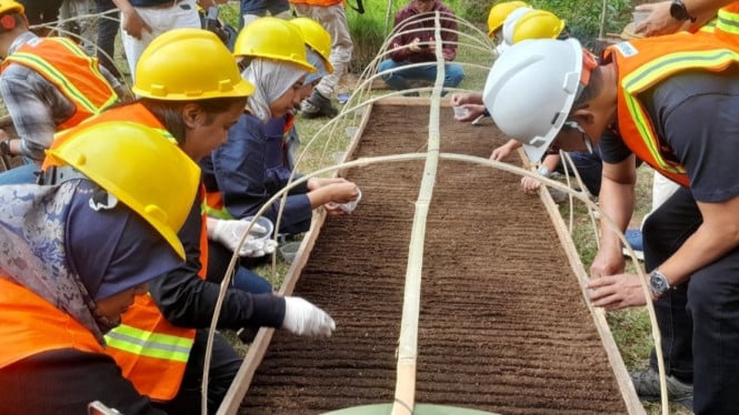 Perhutani Persiapkan 20 Juta Bibit untuk Reboisasi Masif 2026, Targetkan 26 Ribu Hektare Lahan Hijau