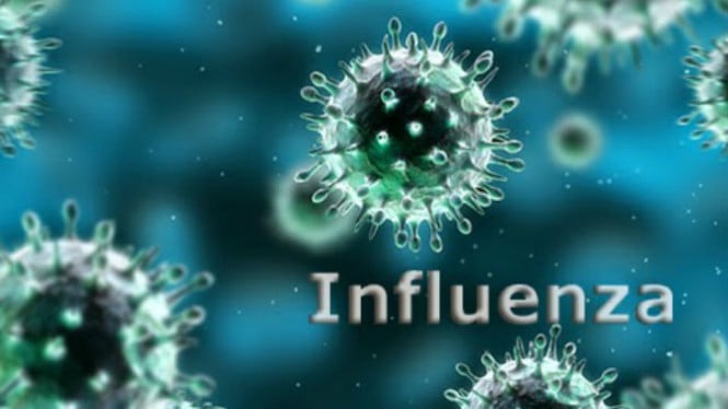 Waspada Influenza A: Kenali Tanda-Tanda Awal dan Strategi Ampuh Menghindar dari Virus Berbahaya Ini