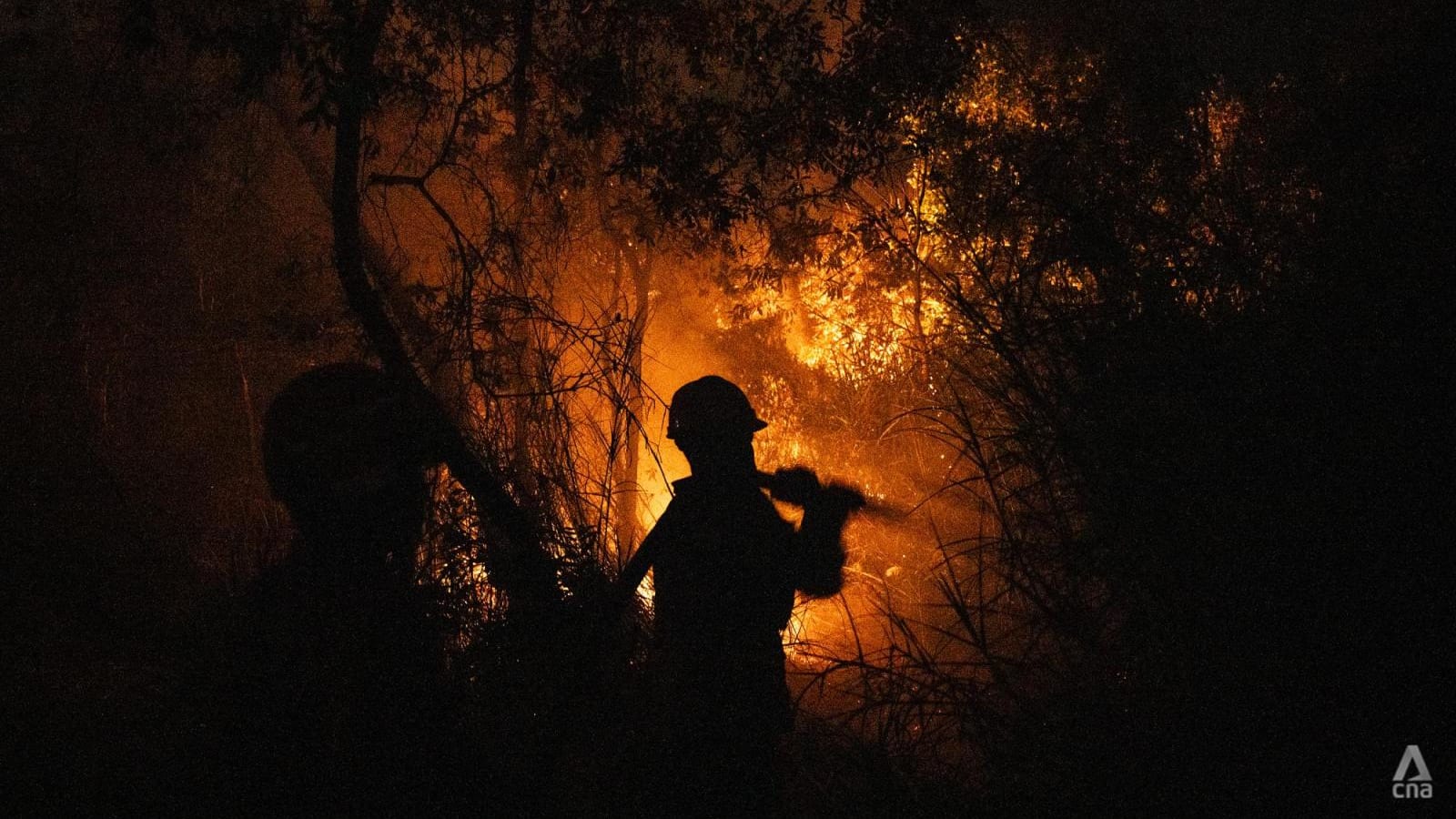 Mereka Rela Korban Istirahat untuk Selamatkan Sumatra dari Jilatan Api Kebakaran Hutan