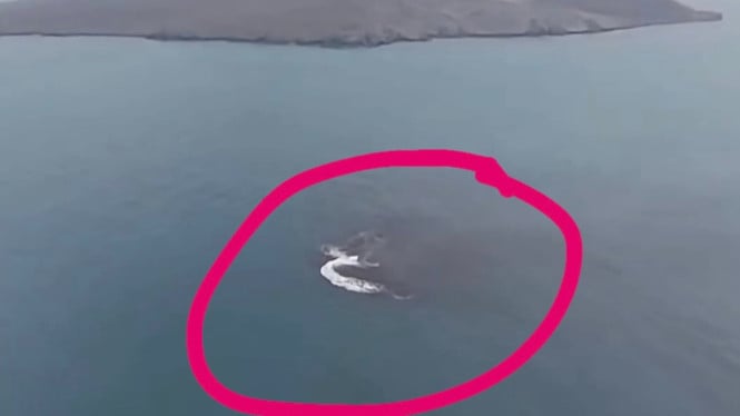Pulau Baru Tercipta di Krakatau, Fenomena Alam yang Memukau Sekaligus Mengerikan