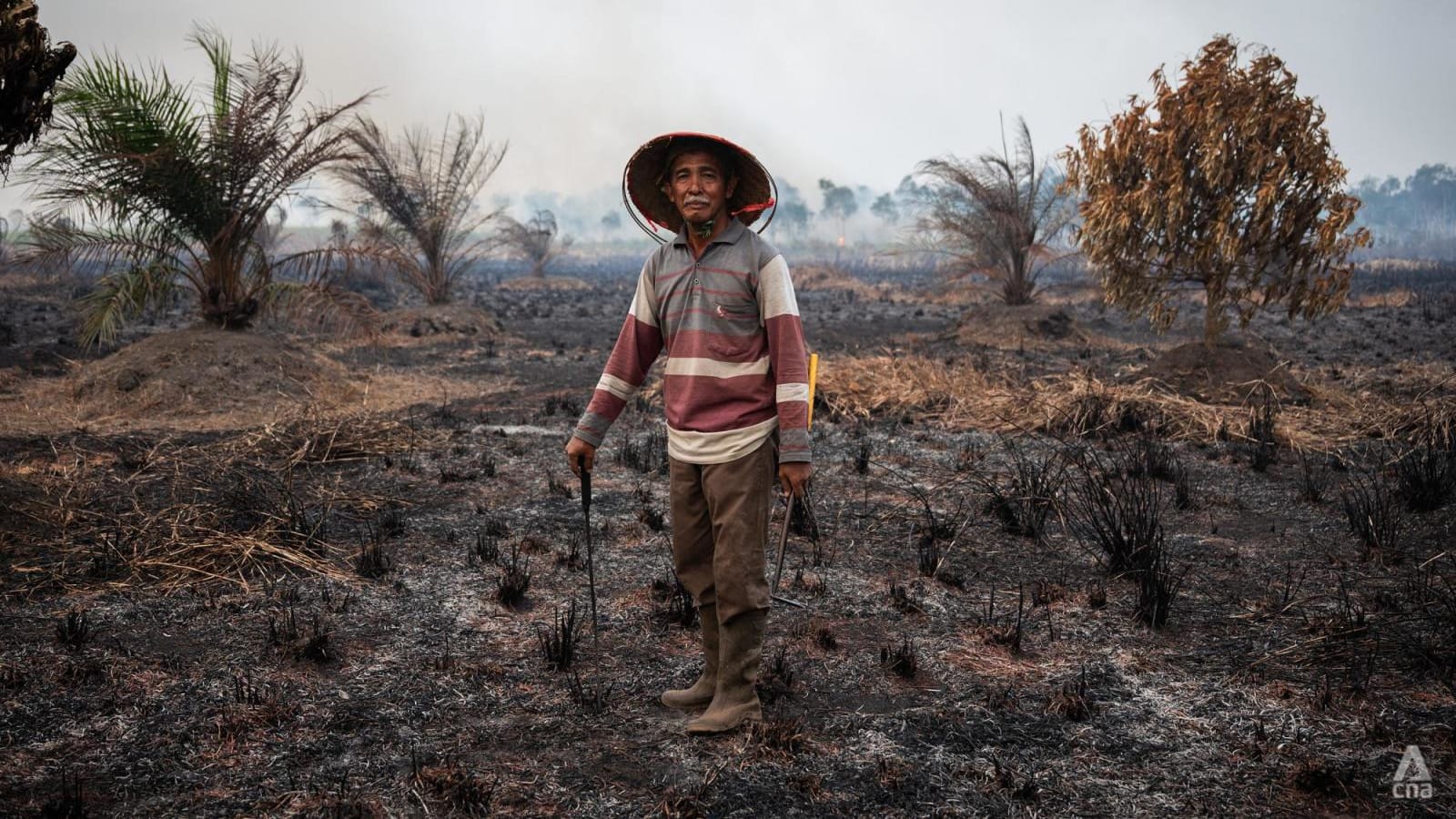 Siklus Kebakaran Hutan Sumatra: Mengapa Larangan dan Denda Masih Gagal Menghentikan Bencana Asap Lintas Negara