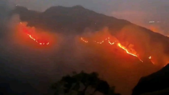 Rinjani dalam Ancaman Api: Lebih dari 589 Hektare Hutan Terjilat Nyalang