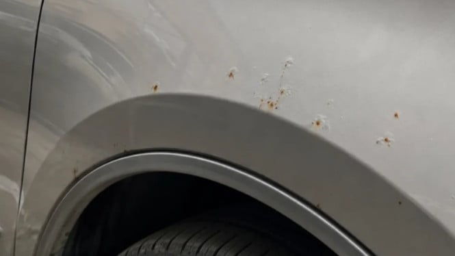 Awas! Bintik Cokelat di Mobil Bukan Sekadar Debu, Ini Ancaman Serius untuk Kendaraan Anda
