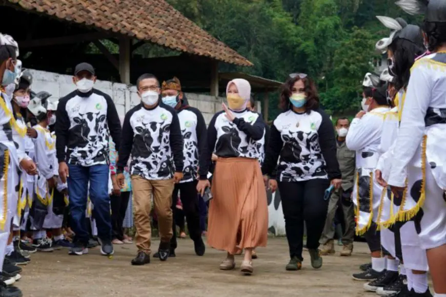 Dari Ladang ke Panggung: Bagaimana Brau Mengubah Tradisi Nyusu Menjadi Magnet Pariwisata