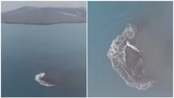 Krakatau Melahirkan Pulau Baru: Dua Daratan Misterius Muncul Setelah Letusan Dahsyat