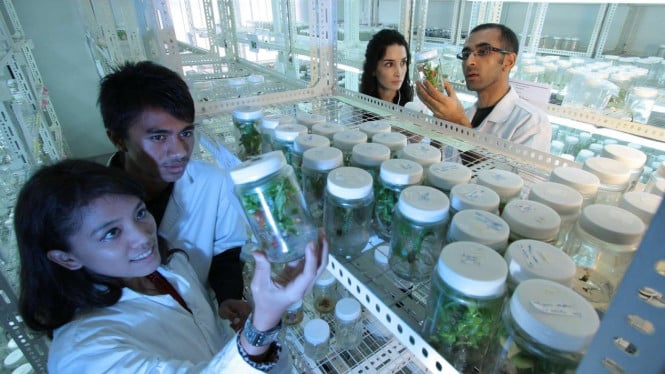 Peneliti Tewas Misterius di Laboratorium Siberia, Kemenkes Waspadai Potensi Ancaman Baru