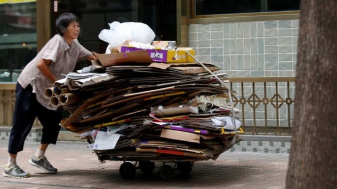 Dari Tong Sampah ke Mesin Uang: Bisnis Kardus Bekas yang Menguntungkan dengan Modal Seuprit