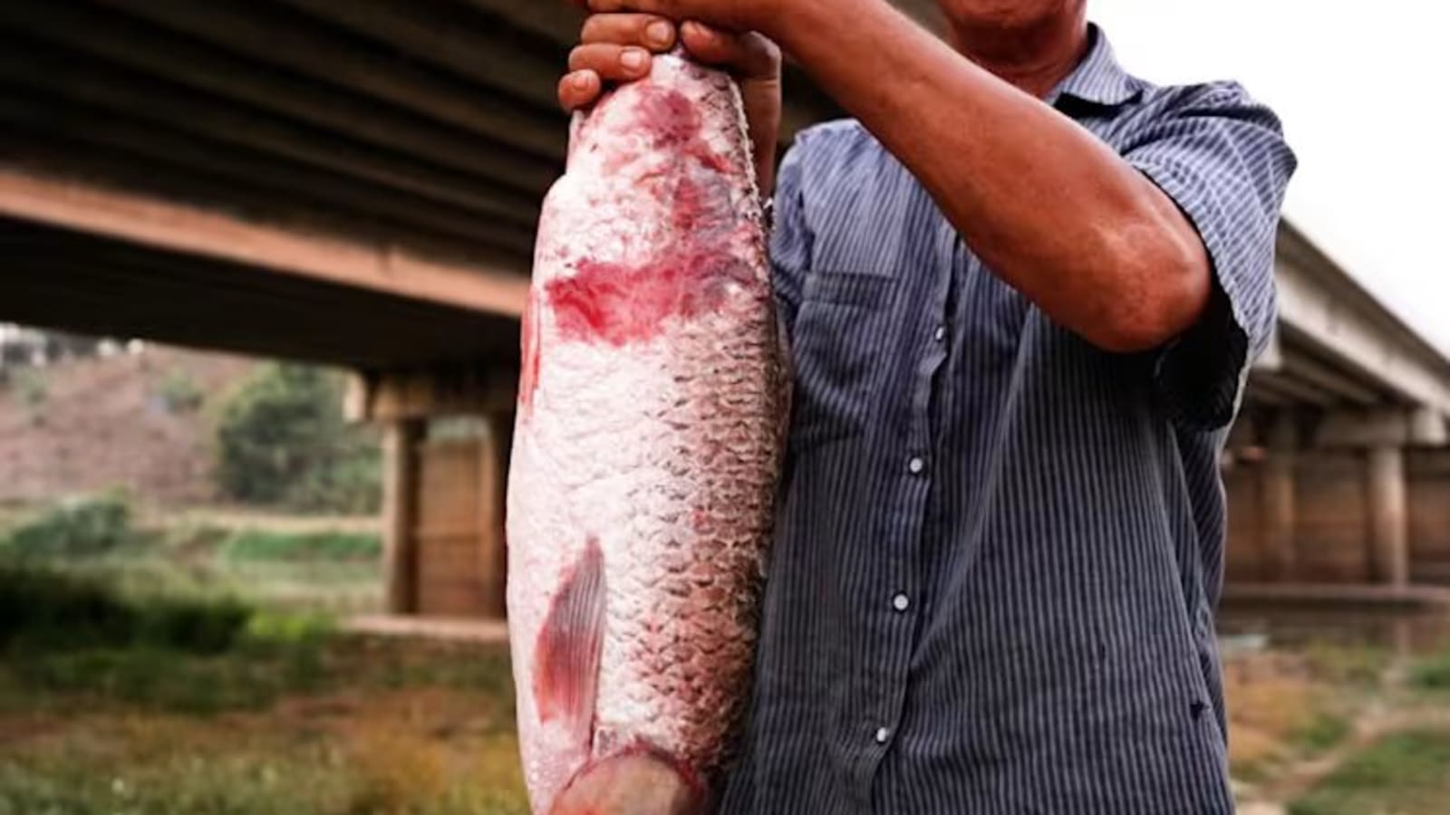 Sungai Mekong Tercemar: Thailand Terancam Krisis Pangan dan Kesehatan Akibat Tambang Myanmar