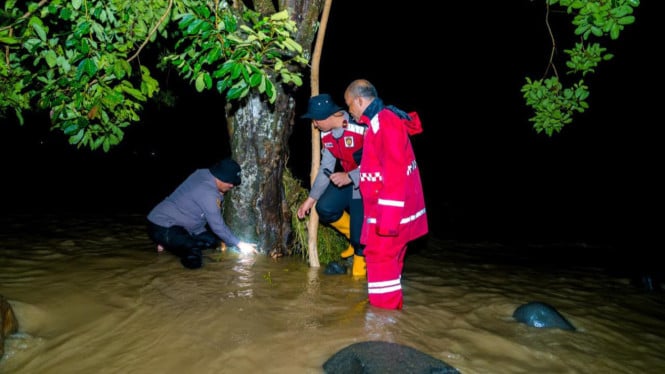 Padang Dilanda Banjir Dahsyat: 120 Rumah Berubah Jadi Lautan, 238 Keluarga Terpaksa Mengungsi