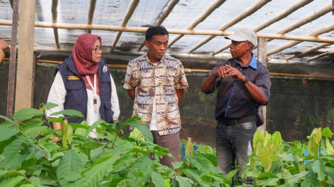 Dari Transmigrasi ke Investasi: Pemerintah Buka Peluang Emas Kakao di Werianggi–Werabu