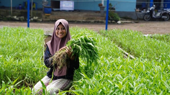 Mekaar Bukti Nyata: Setiap Rupiah yang Diinvestasikan Berkembang Menjadi Rp1,81