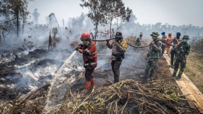 Rp15 Miliar Dialokasikan Presiden untuk Buru Habis Kebakaran Hutan Kotawaringin Timur