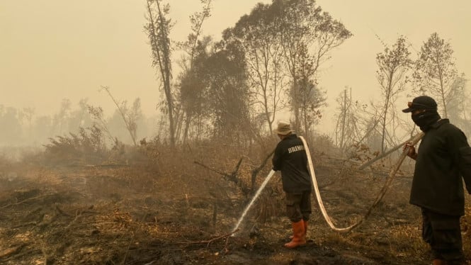 Darurat Asap Kalteng: DPR Tekan Pemerintah Aktifkan Status KLB Kesehatan dan Perkuat Respons Medis