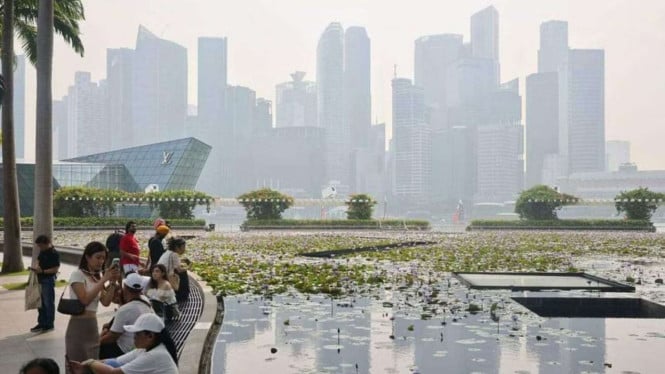 Menteri Singapura Banting Setir, Nyinyir Klaim Hutan Indonesia Pemasok Oksigen