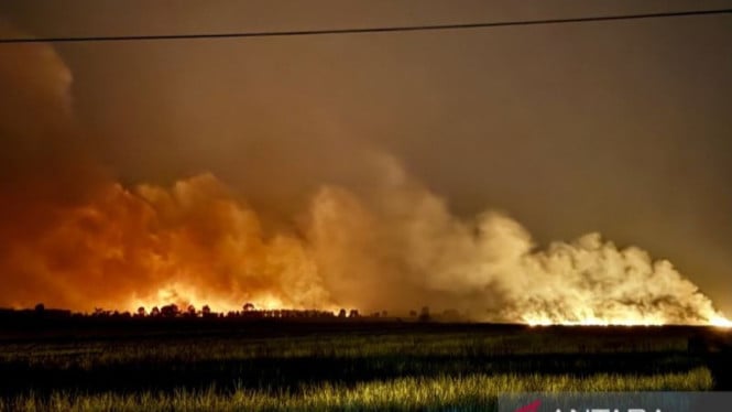 Empat Dalang Korporasi Ditangkap dalam Operasi Besar-besaran Polda Kalsel Terkait Kebakaran Hutan Masif