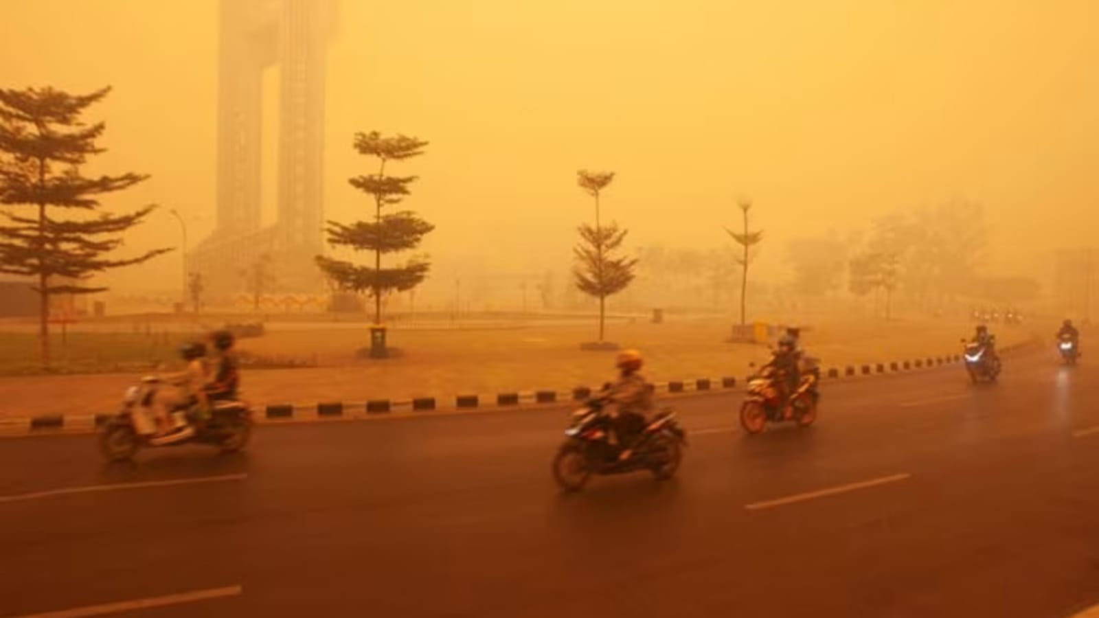 MUI Buka Suara: Membakar Hutan Adalah Dosa, Saatnya Kembali ke Jalan yang Benar