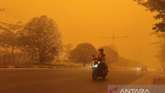 Kabut Asap Tebal Kembali Mengepung Palangka Raya, Visibilitas Menurun Drastis