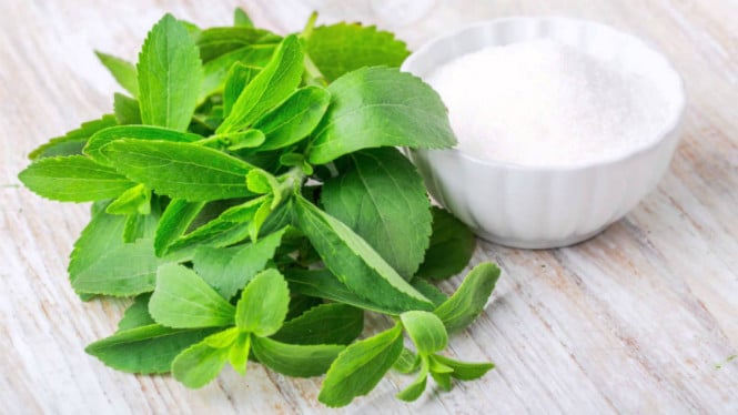 Waspada! Stevia Bukan Pengganti Gula Sehat yang Aman, Ini Bukti Ilmiahnya