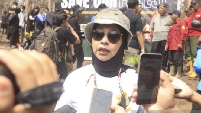 Kebakaran Misterius 1.600 Hektare di IKN: Jejak Pembakaran Terencana untuk Buka Lahan Terbongkar